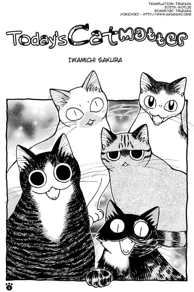 Honjitsu no Neko Jijou Chapter 1 7